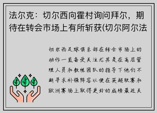 法尔克：切尔西向霍村询问拜尔，期待在转会市场上有所斩获(切尔阿尔法)