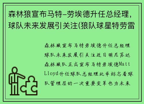 森林狼宣布马特-劳埃德升任总经理，球队未来发展引关注(狼队球星特劳雷)